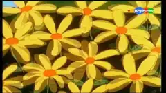 Смурфики (1981) 7 сезон 32 серия